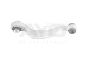 AYD (AKRON) 8825150 - BRACCIO POST SX BMW X3-X4